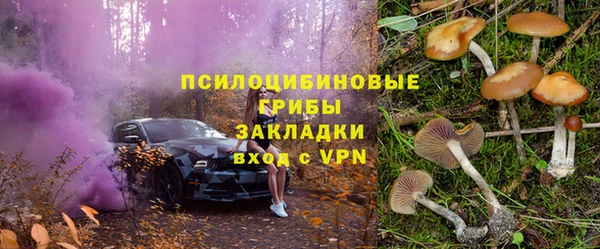 мет Алексин