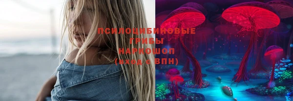 мет Алексин