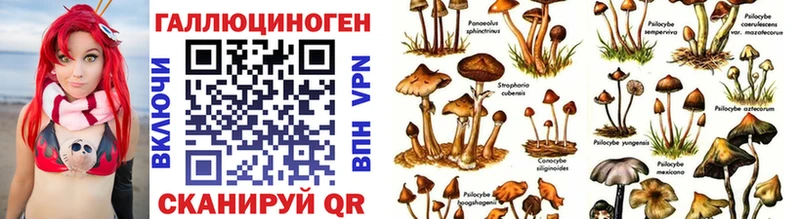 hydra ССЫЛКА  Мензелинск  Галлюциногенные грибы MAGIC MUSHROOMS 